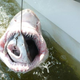 Image for article titled The Weirdest Science Stories of 2013